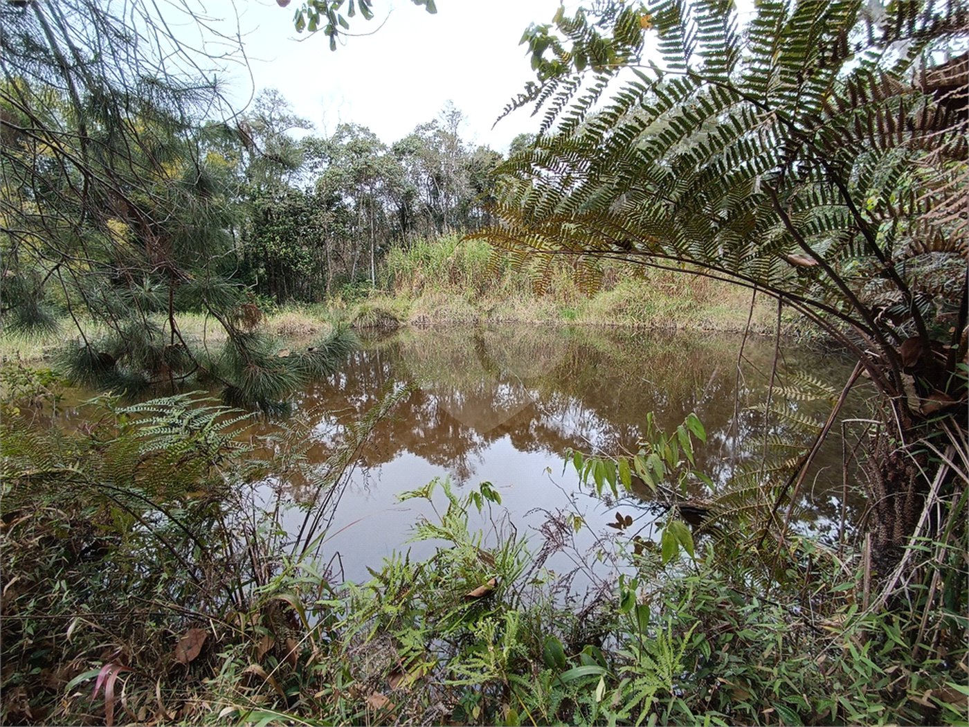 Terreno à venda em Vila Junqueira, São Roque, SP