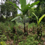 Terreno à venda em Vila Moraes, Mogi das Cruzes, SP