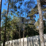 Terreno à venda no condomínio Suíça da Cantareira, Mairiporã - SP