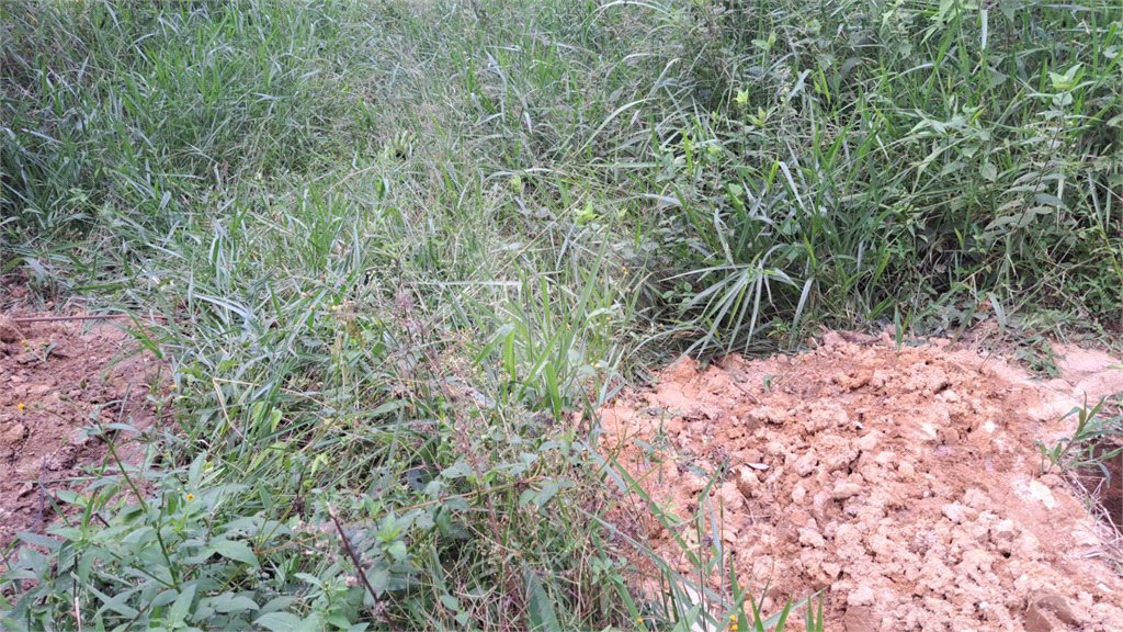 Terreno à venda em Serra da Cantareira, Mairiporã, SP