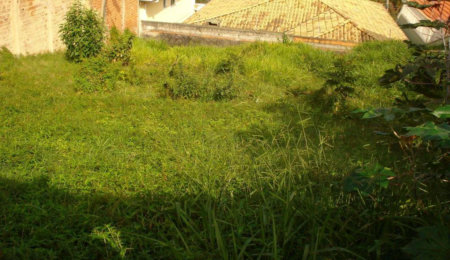 Terreno à venda em Cidade São Francisco, São Paulo, SP