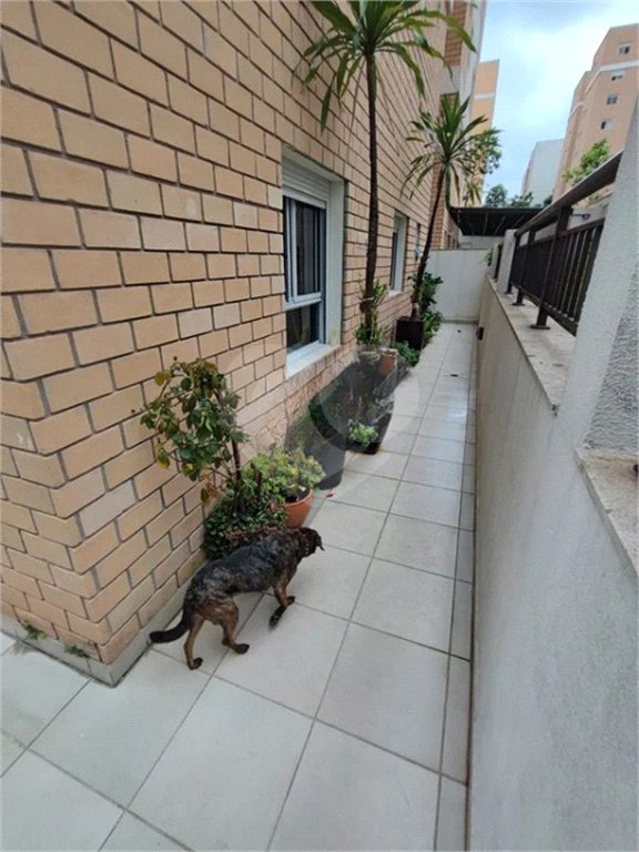 Apartamento Garden na Mooca com 322m² com 4 dormitórios 5 vagas Estuda Permuta