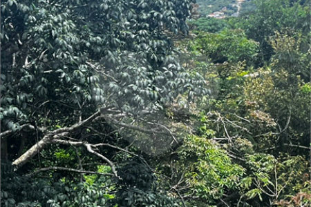 Terreno à venda em Albatroz, Armação dos Búzios, RJ