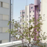 Apartamento à venda com 3 quartos, sendo 1 suíte, em Casa Verde, São Paulo, SP