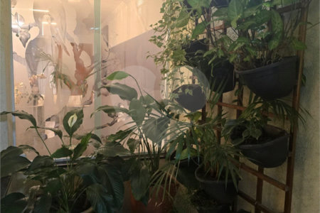 Sobrado à venda com 3 quartos, sendo 1 suíte, em Alto da Mooca, São Paulo, SP