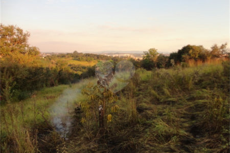 Terreno à venda em Vista Alegre, Vinhedo, SP