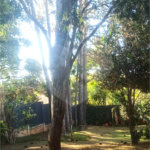 Chácara à venda com 5 quartos, sendo 3 suítes, em Parque Residencial Atibaia, Atibaia, SP