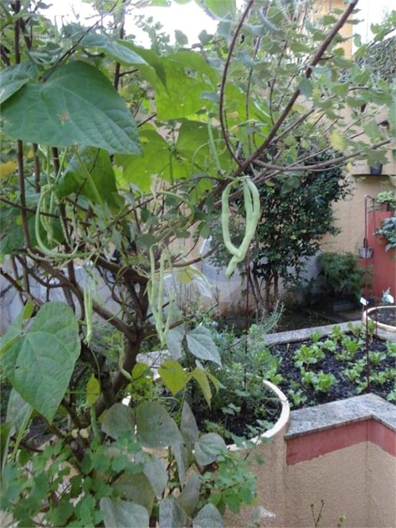 Sobrado à venda com 6 quartos, sendo 2 suítes, em Horto Florestal, São Paulo, SP