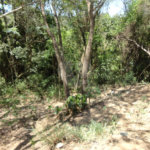 Chácara à venda com 4 quartos em Vista Alegre, Vinhedo, SP
