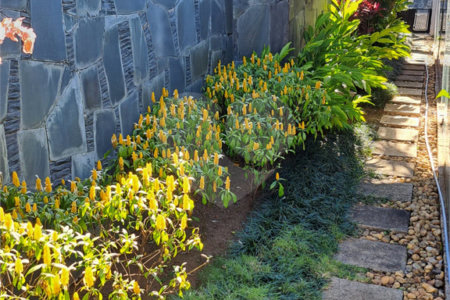 Casa à venda com 4 suítes em Vila Oliveira, Mogi das Cruzes, SP