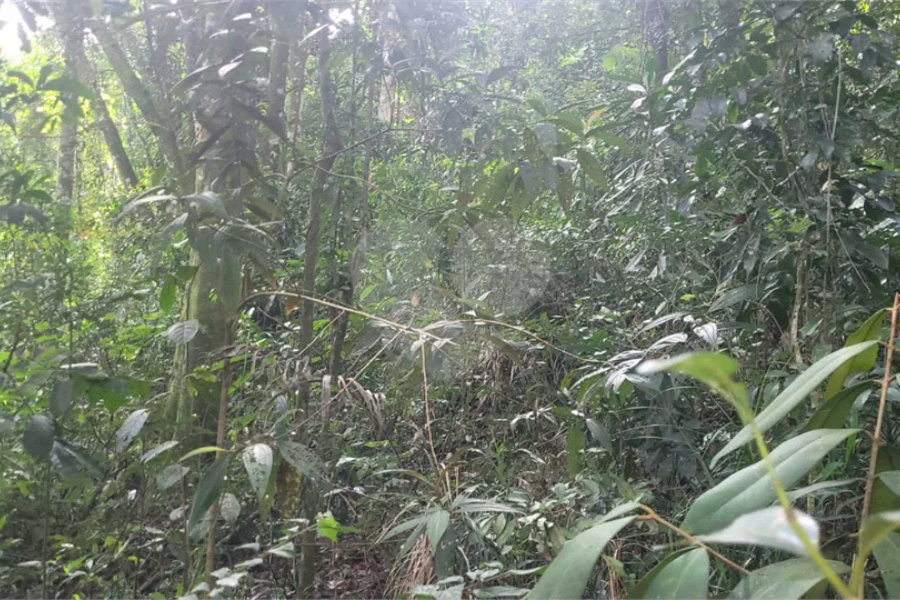 Terreno à venda em Mantiqueira, Mairiporã, SP