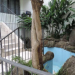 Sobrado à venda com 6 quartos, sendo 2 suítes, em Casa Verde, São Paulo, SP