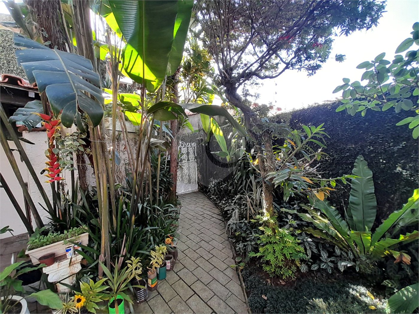 Sobrado à venda com 3 suítes em Jardim Franca, São Paulo, SP