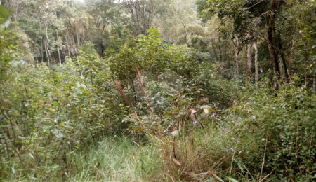Terreno à venda no condomínio Sausalito, Mairiporã - SP