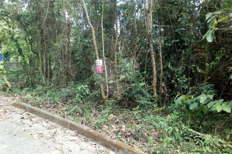 Terreno à venda em Serra da Cantareira, Mairiporã, SP