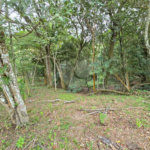 Sítio à venda com 6 quartos, sendo 5 suítes, em Área Rural de Itapetininga, Itapetininga, SP