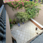 Casa à venda com 3 quartos, sendo 1 suíte, em Jardim Capão Redondo, São Paulo, SP