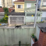 Sobrado à venda com 3 quartos, sendo 1 suíte, em Santana, São Paulo, SP
