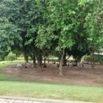 Casa em condomínio à venda com 3 suítes, em Iporanga, Sorocaba, SP