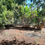 Sitio São João - Km 258