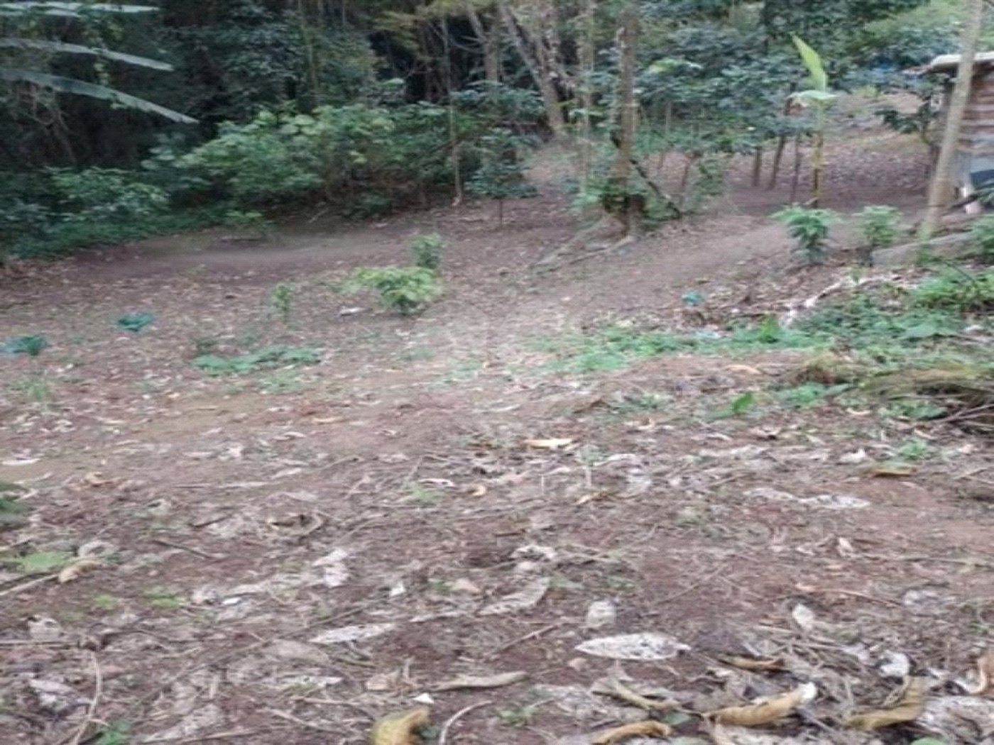 Terreno à venda em Jardim Ampliação, São Paulo, SP