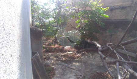 Terreno à venda em Casa Verde, São Paulo, SP