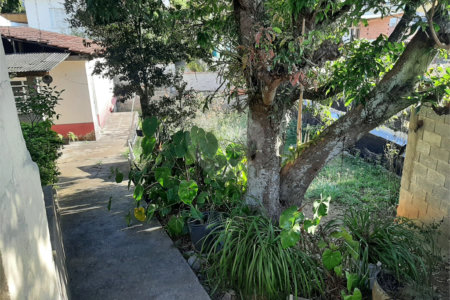 Terreno à venda em Vila Mazzei, São Paulo, SP