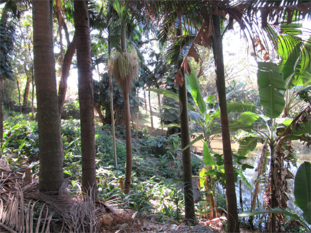 Terreno à venda em Chácara Flora, São Paulo, SP