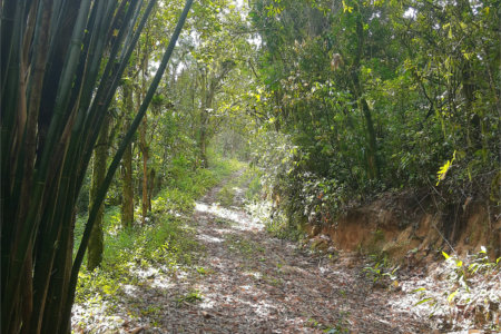 Sítio à venda com 5 quartos, sendo 1 suíte,  em Área Rural de Tapiraí, Tapiraí, SP