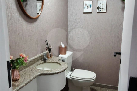 Apartamento à venda com 3 quartos, sendo 1 suíte, em Cambuci, São Paulo, SP
