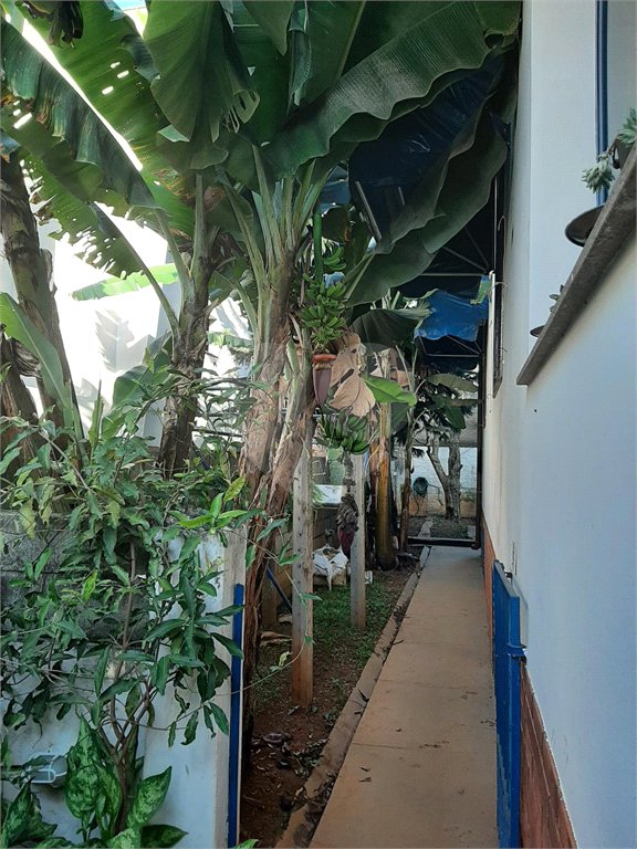 Casa Térrea à venda com 3 quartos em Horto Florestal, São Paulo, SP