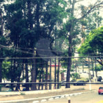 Sobrado à venda com 4 quartos, sendo 1 suíte, em Santana, São Paulo, SP