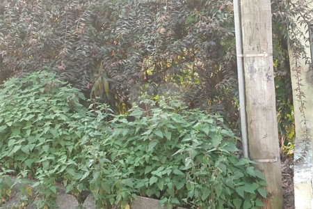 Terreno à venda em Jardim São João (zona Norte), São Paulo, SP