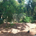 Terreno à venda no condomínio Residencial Bosque da Serra, Mairiporã - SP