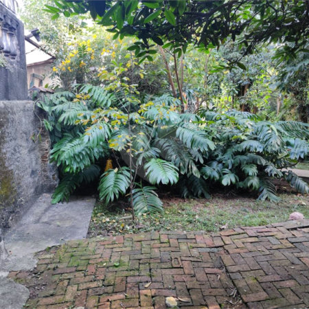 Terreno à venda em Tucuruvi, São Paulo, SP