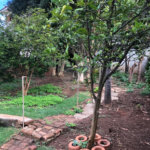 Sobrado à venda com 3 quartos, sendo 1 suíte, em Vila Mariza Mazzei, São Paulo, SP