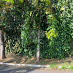 Terreno à venda no condomínio Jardim Vitória Régia, São Paulo - SP