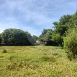 Terreno à venda em Campestre, Piracicaba, SP