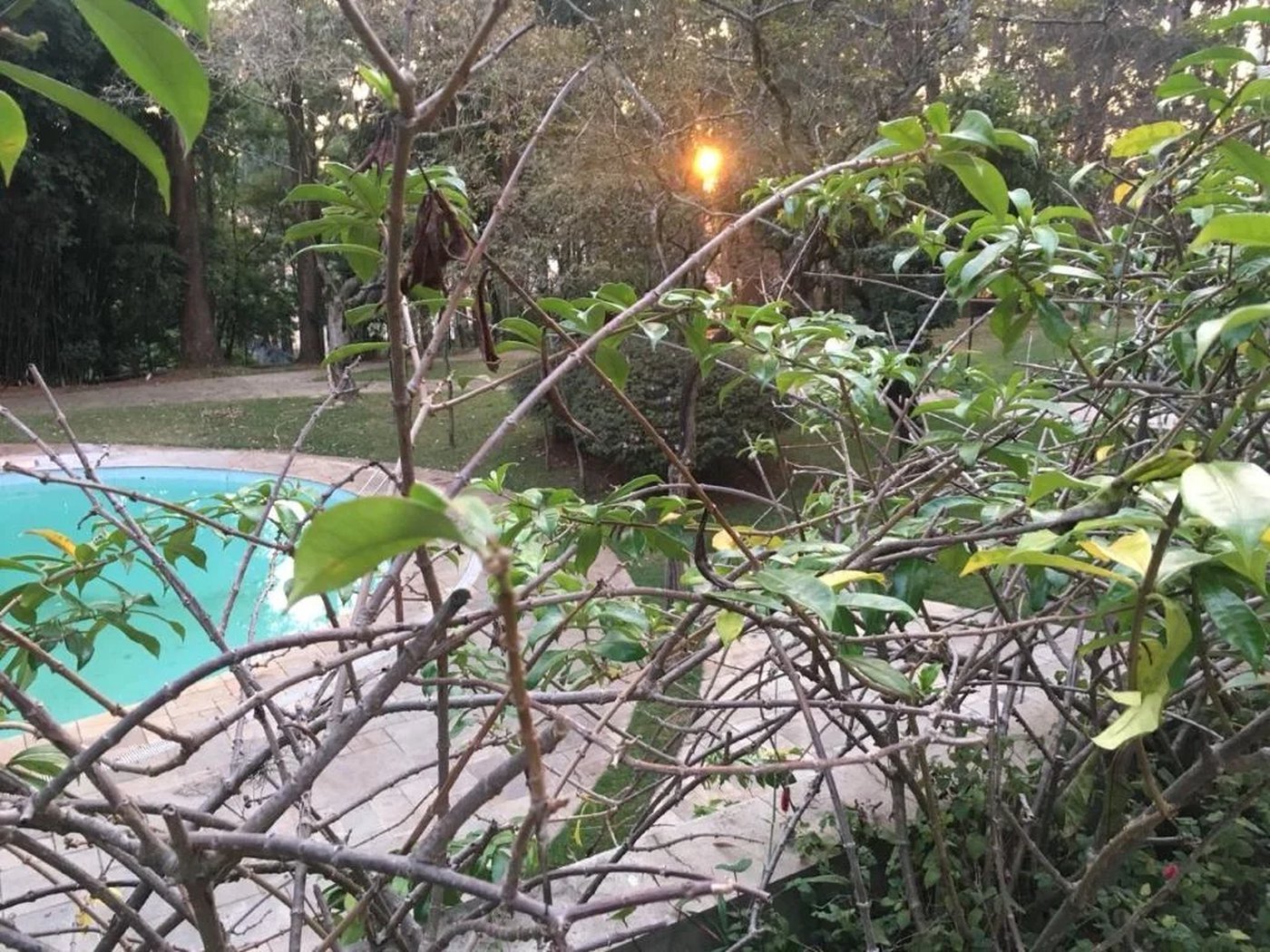Apartamento à venda com 4 suítes em Vila Suzana, São Paulo, SP