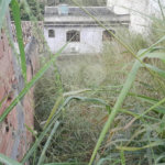 Terreno à venda no condomínio Residencial Mirela - Lotes e Terrenos, Rio de Janeiro - RJ