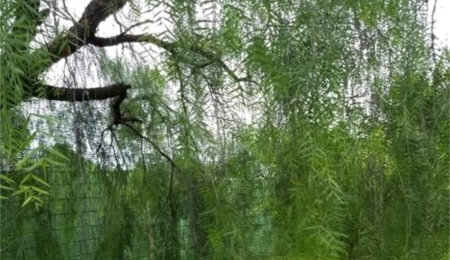 Chácara à venda com 3 quartos, sendo 2 suítes,  em Recreio Campestre Jóia, Indaiatuba, SP