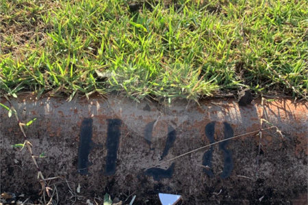 Terreno à venda em Jardim São Camilo, Araraquara, SP