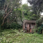 Terreno à venda em Vila Mazzei, São Paulo, SP