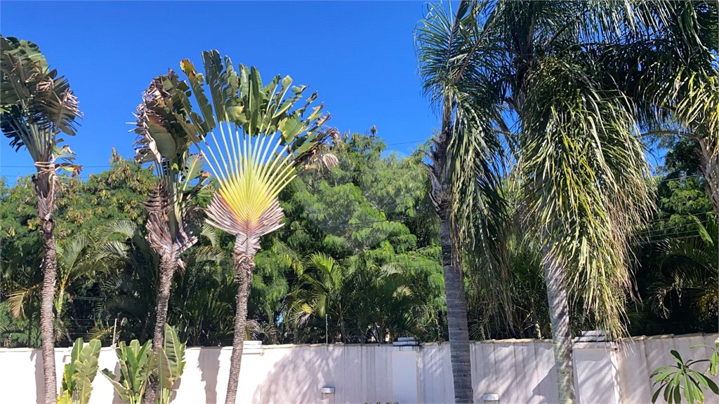 Casa à venda com 5 suítes em Marina, Armação dos Búzios, RJ