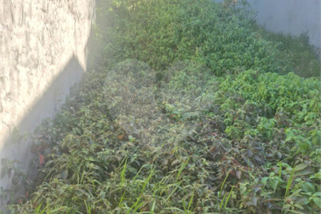 Terreno à venda em Jardim Adelfiore, São Paulo, SP