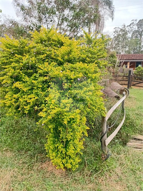 Sítio à venda com 2 quartos em Área Rural de Lagoinha, Lagoinha, SP