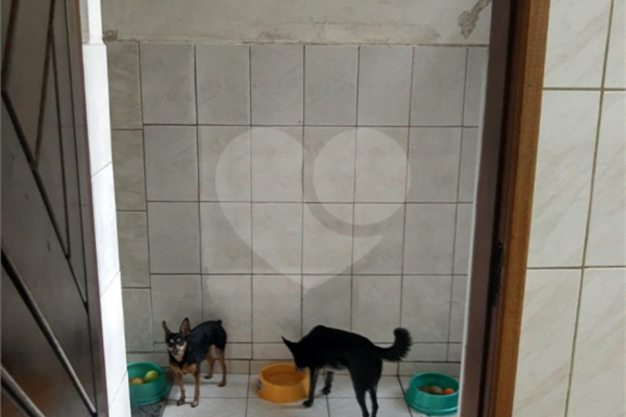 Sobrado à venda com 3 quartos, sendo 1 suíte, em Vila Maria, São Paulo, SP