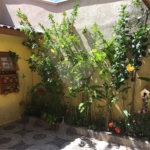 Casa à venda com 2 quartos em Santana, São Paulo, SP