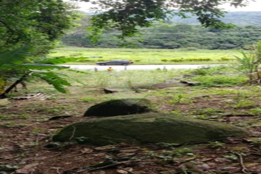 Terreno à venda em Horto, São Paulo, SP