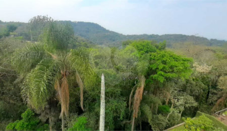 Casa à venda com 3 suítes em Serra da Cantareira, Mairiporã, SP